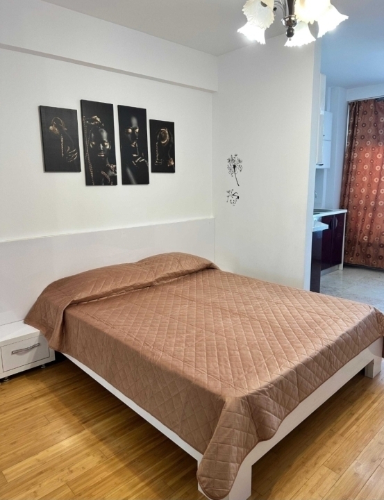 Exclusive Residence-Etaj intermediar-Apartament 1 camera-Copou — imagine 3