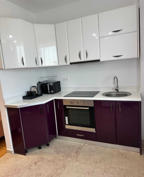 Exclusive Residence-Etaj intermediar-Apartament 1 camera-Copou — imagine 4