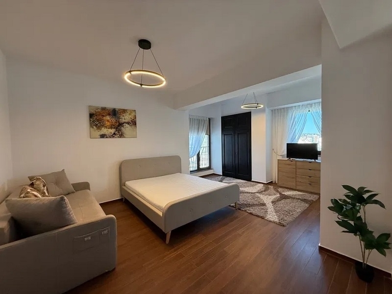 Apartament 1 camera zona Pacurari