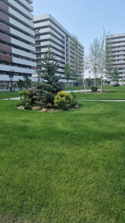 Apartament 1 camera Etaj 1 Comision 0% — imagine 12